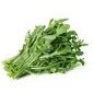Roquette cultivée