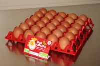 Oeuf bio extra frais en vrac - calibre moyen