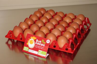 Oeuf bio extra frais en vrac - calibre moyen