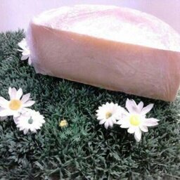 Fromage brebis 4 mois sous vide