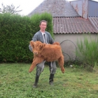 Entrecôte highland (sous vide)