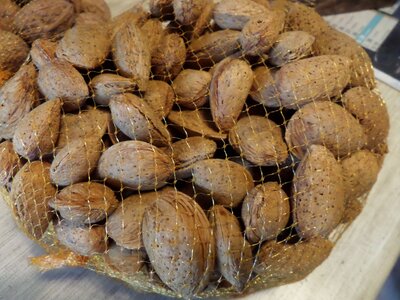 Amandes en coque