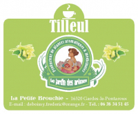 Tisane tilleul