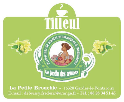 Tisane tilleul