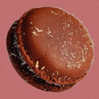 Macaron chocolat/noix de coco
