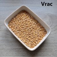 Petit épeautre bio et local