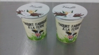 Yaourts vanille, lot de 2 yaourts de 125g