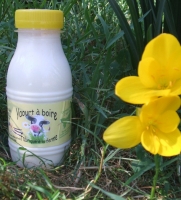 Yaourt à boire à la vanille