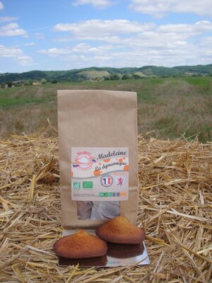 Madeleine ' la dynamique ' zeste et jus d'orange