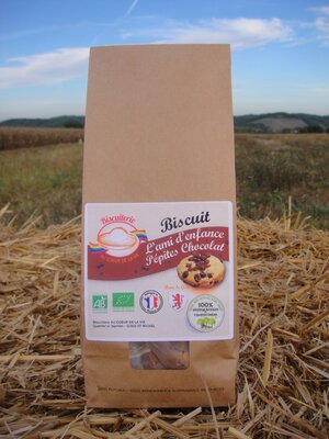 Biscuit' l'ami d'enfance' pépites chocolat