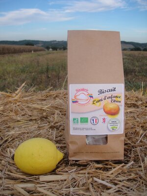 Biscuit' l'ami d'enfance'  citron