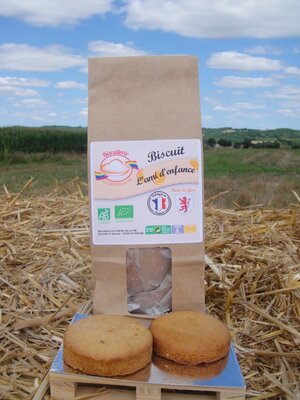 Biscuit' l'ami d'enfance'  orange