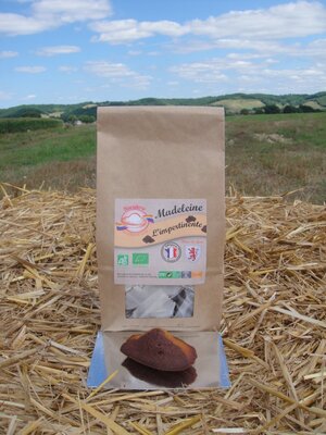 Madeleine ' l'impertinente' marbré chocolat