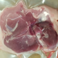 Côte filet d'agneau de lait