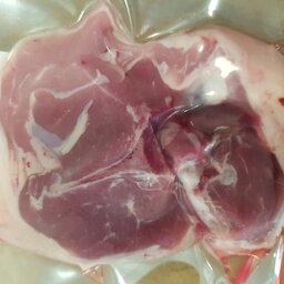 Côte filet d'agneau de lait