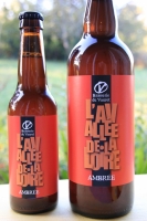 L'avallée de la loire ambrée