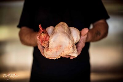 Poulet entier 1.6/1.8kg