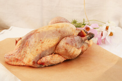 Pintade