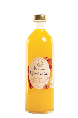 Kombucha curcuma - gingembre - fleur