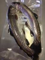 Truites portions en lot de 2