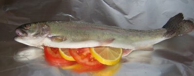 Truite portion
