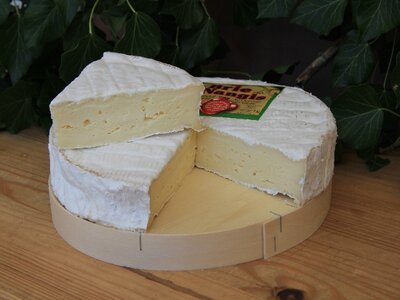 Brie le nangis