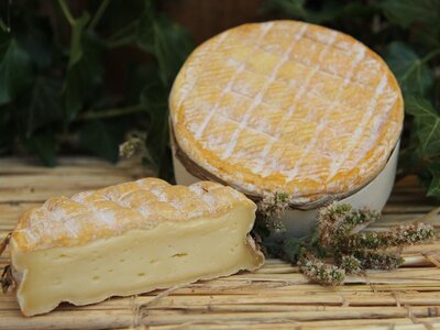 Livarot fermier