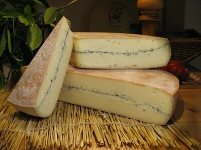 Morbier