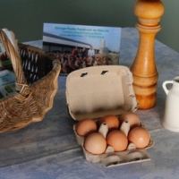Oeufs de plein air