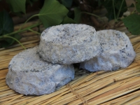 Selles sur cher fermier