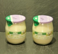 Yaourt (pêche - he d'orange douce)