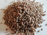 Anis vert grains