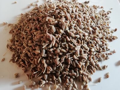 Anis vert grains