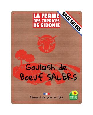 Goulash de boeuf salers