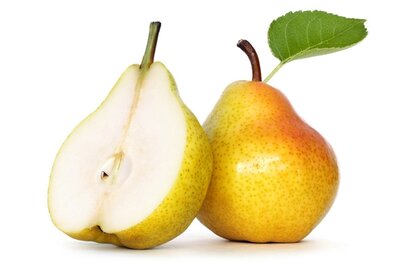 4 yaourts à la poire