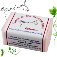 Savon lait d'ânesse et eglantine