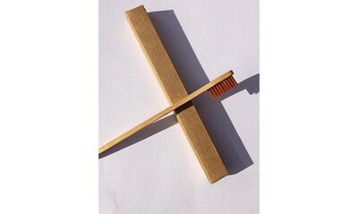 Brosse à dent en bois de bambou
