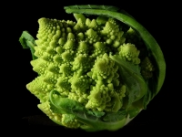 Chou romanesco
