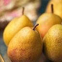 Poire passe crassane