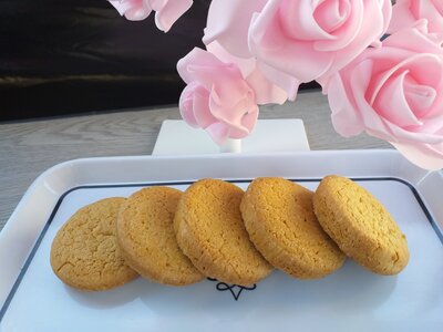 Palets bretons la biscuiterie reignac 33860