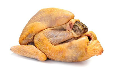 Pintade de la ferme