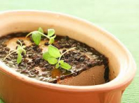 Pâté de foie de volailles