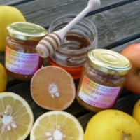 Confiture pamplemousse pomme miel