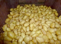 Grenailles délikatesse