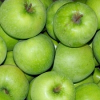 Pomme granny-smith-plateau de 4.3kg