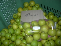 Sachet de 2 kg goldrusch