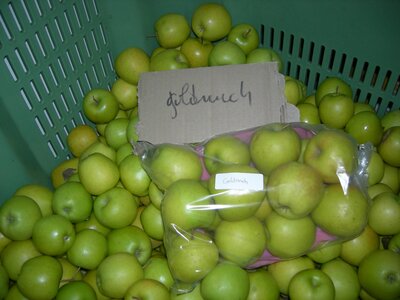 Sachet de 2 kg goldrusch