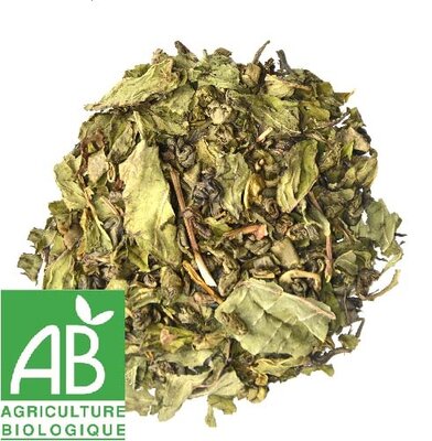 Marrakesh nights premium bio en vrac - 100gr