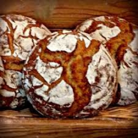 Ap- khorasan 100% (kamut) bio