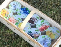 Lot de 4 yaourts aux fruits 125g